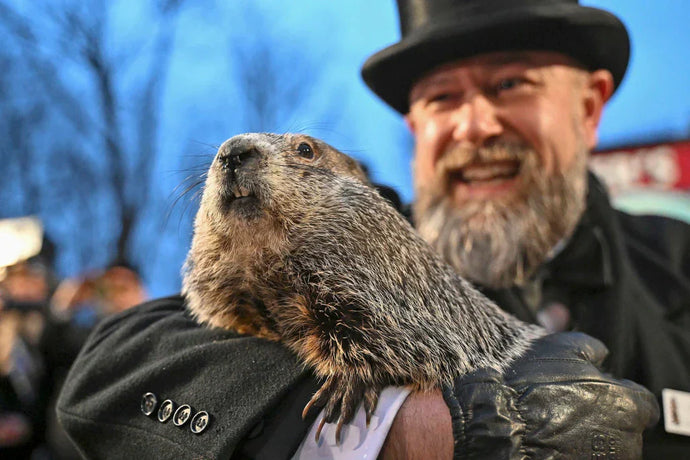 Ag in the News: Groundhog Day