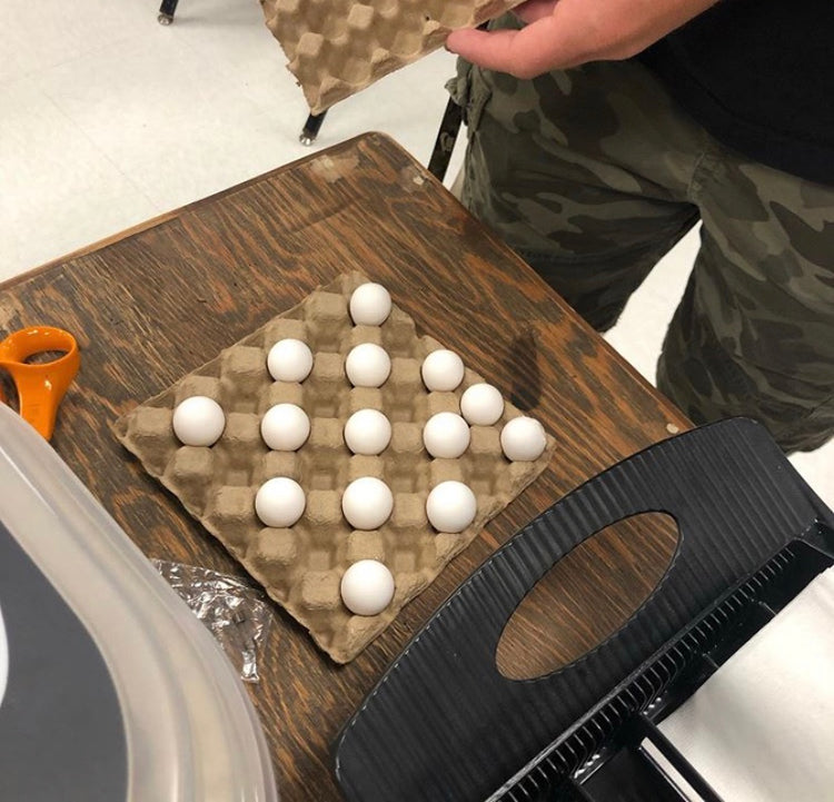 A flat of 14 quail eggs sit on a desk top ready for incubating 