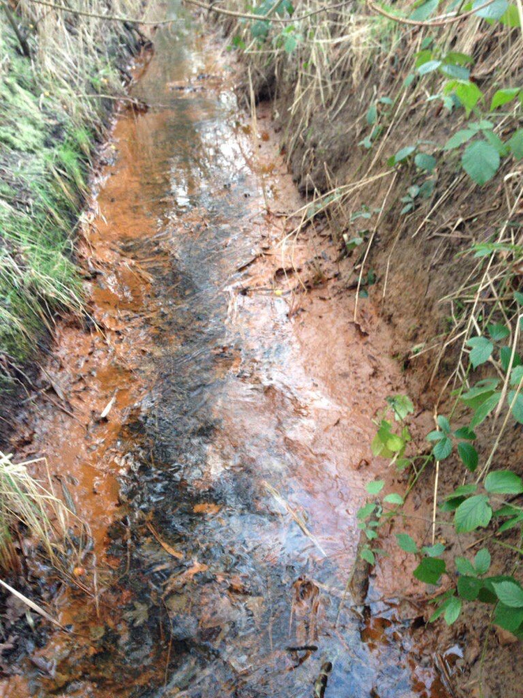 Silt and algae cover the bottom of a field drainage ditch as water flows down to the nearby creek.