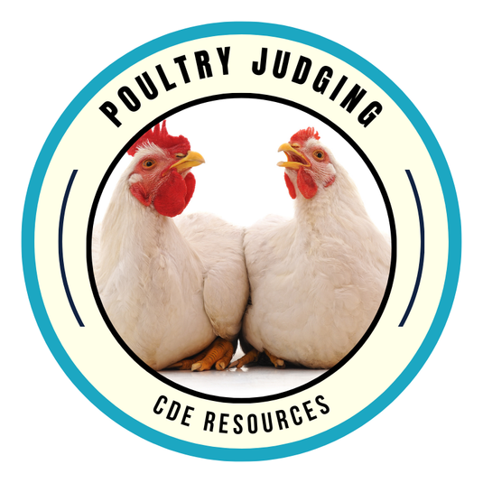 Poultry Judging