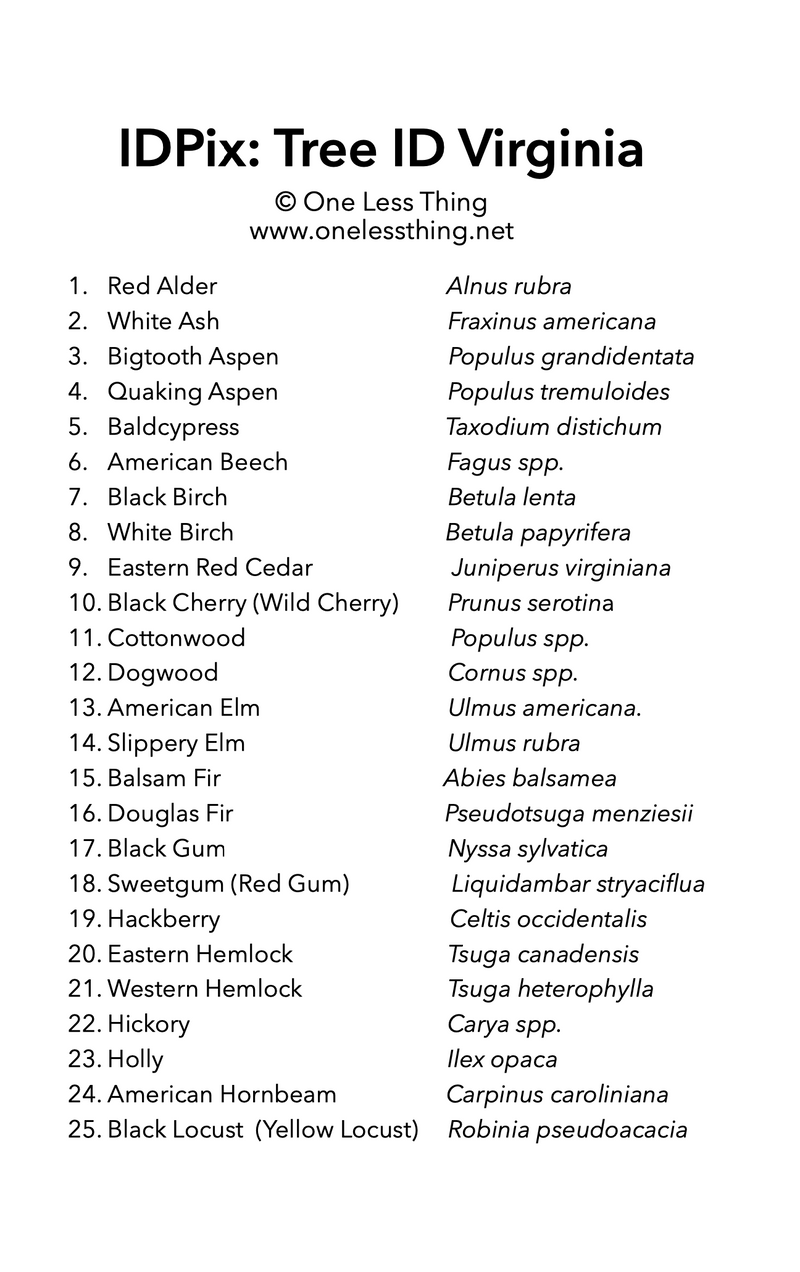 Load image into Gallery viewer, Virginia Tree ID, IDPix Cards
