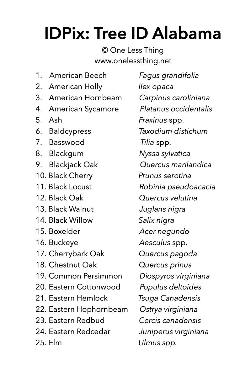 Load image into Gallery viewer, Alabama Tree ID, IDPix Cards
