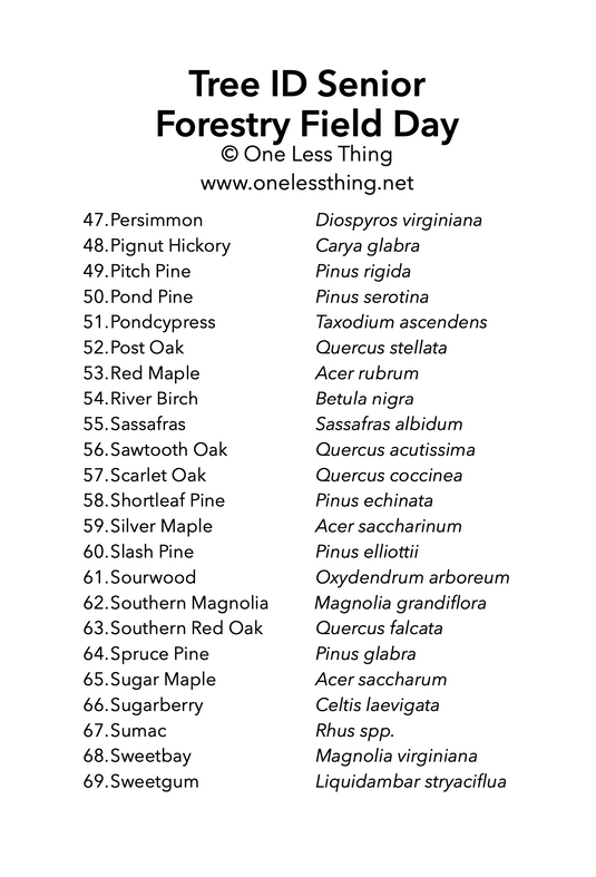Forestry Field Day Senior Tree ID, IDPix Cards