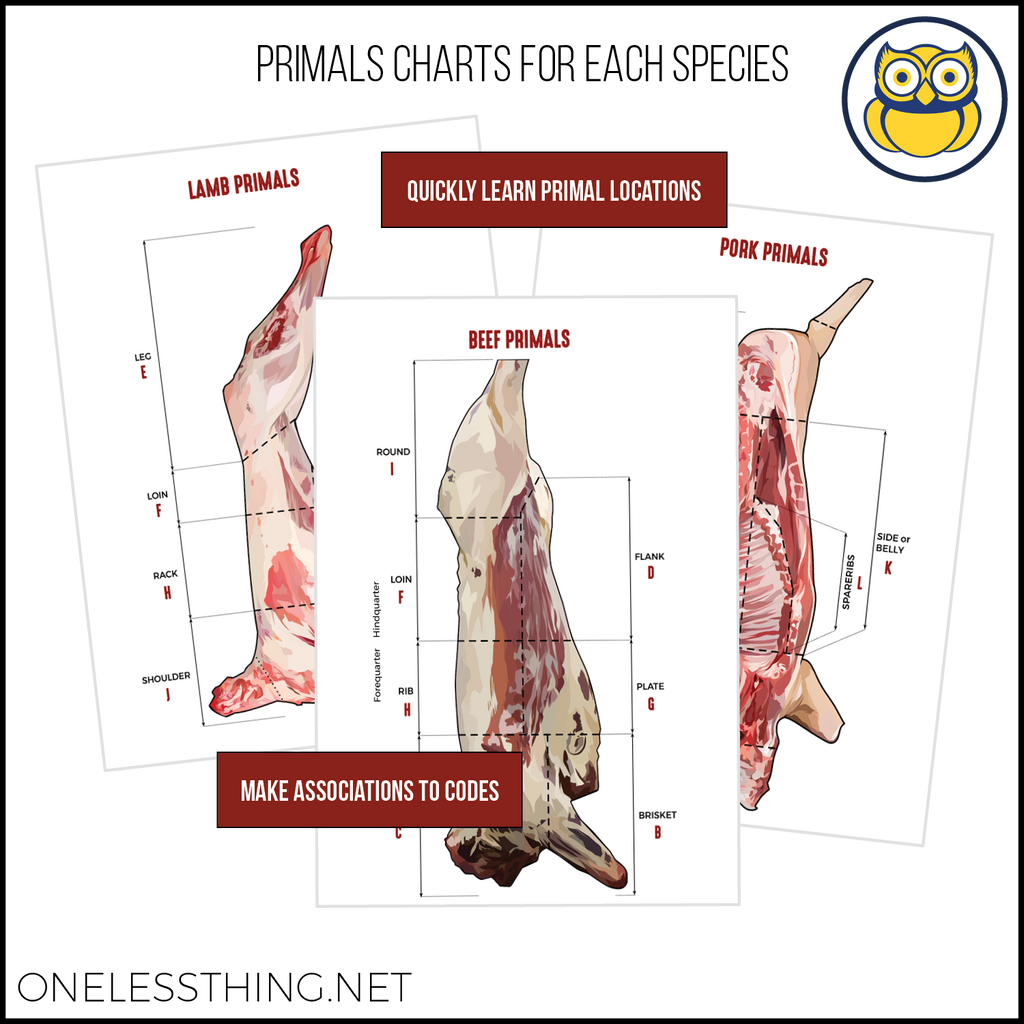 Meats Judging Retail Cut ID, LAMINATED CARDS