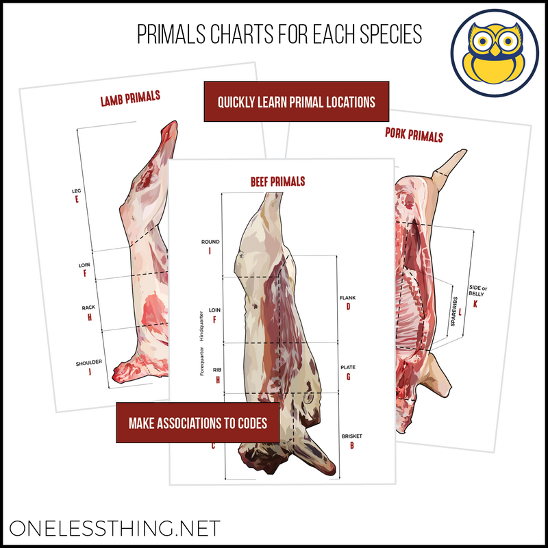 Load image into Gallery viewer, Meats Judging Retail Cut ID, LAMINATED CARDS
