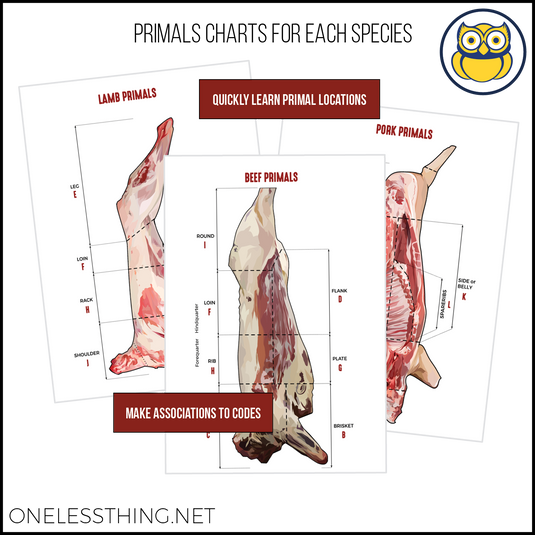 Meats Judging Retail Cut ID, LAMINATED CARDS