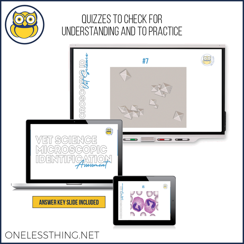 Load image into Gallery viewer, Vet Science Microscopic and Parasite ID, POWERPOINT
