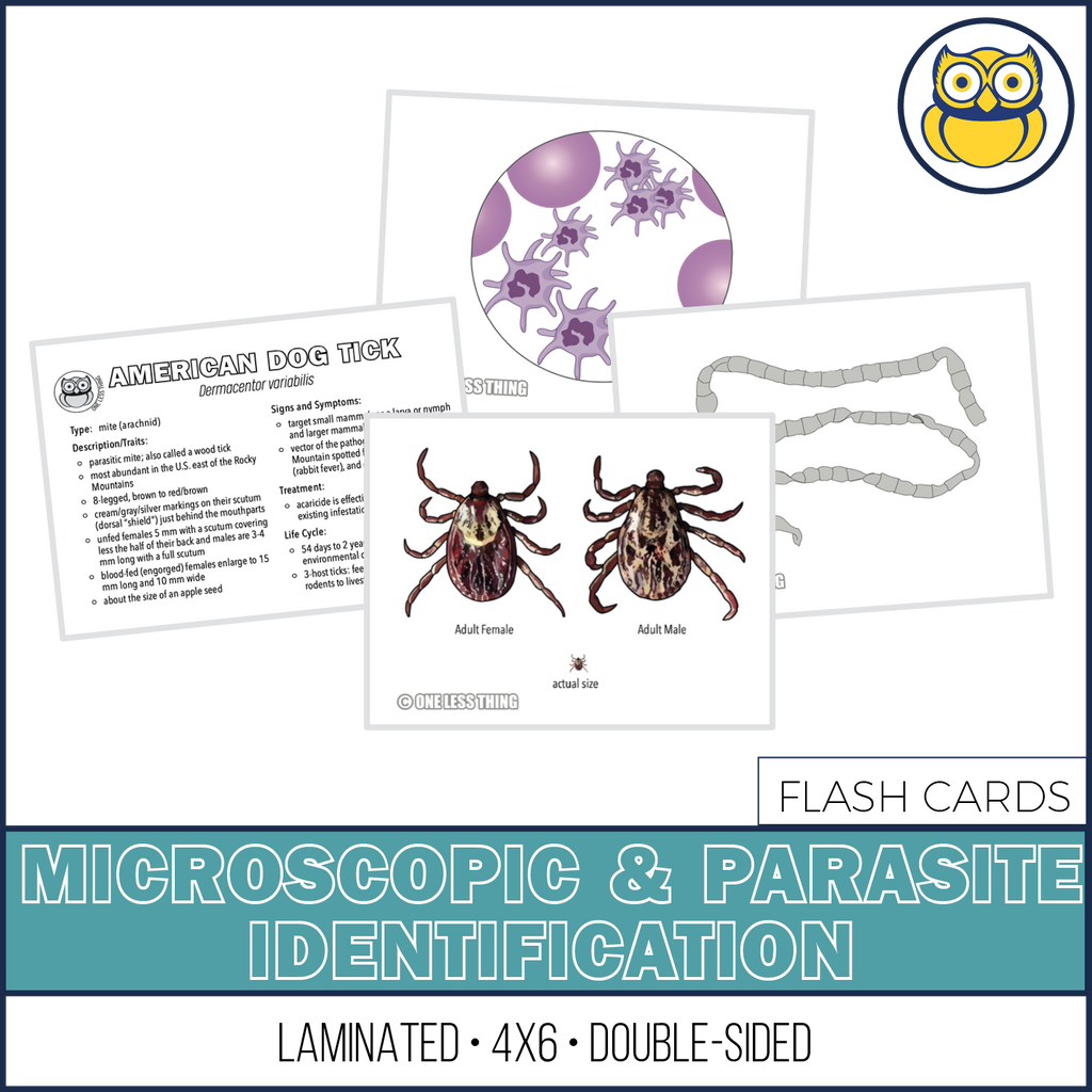 Vet Science Microscopic and Parasite ID, LAMINATED CARDS