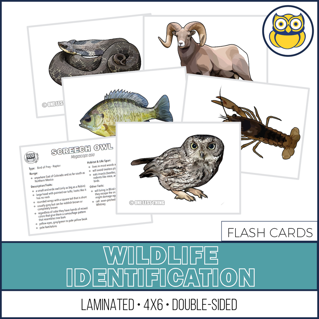 Wildlife Identification, LAMINATED CARDS