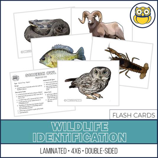 Wildlife Identification, LAMINATED CARDS