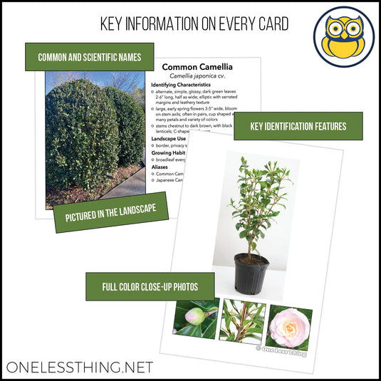 Nursery Landscape ID National, IDPix Cards