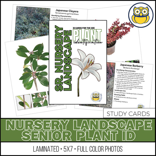 Nursery Landscape ID Senior, IDPix Cards