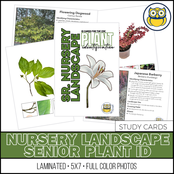 Nursery Landscape ID Senior, IDPix Cards