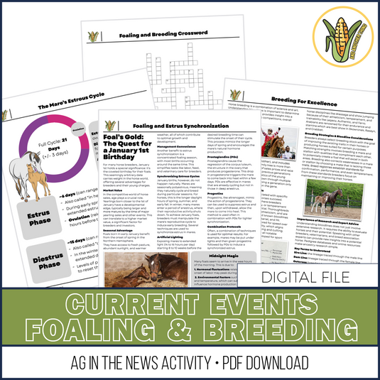 And Another Thing CURRENT EVENTS, Foaling and Breeding