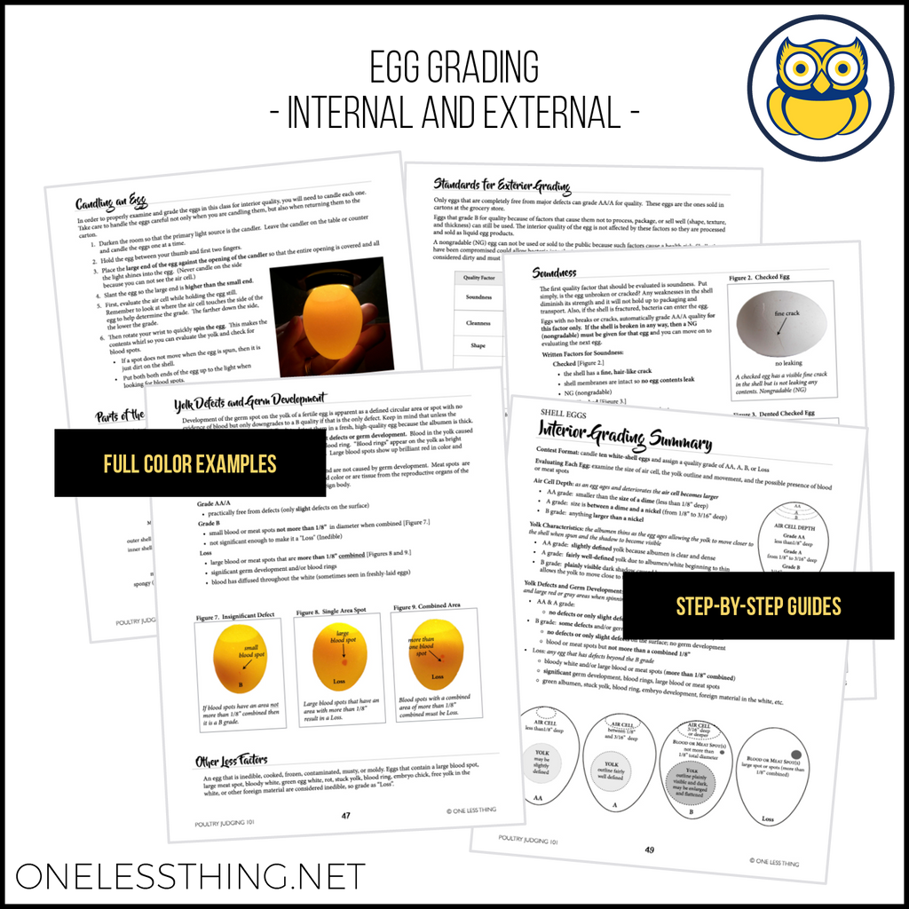 Poultry Judging 101 CDE Handbook