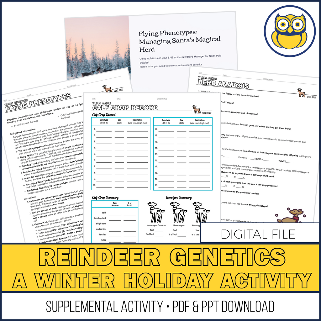 Flying Phenotypes, SUPPLEMENTAL Reindeer Genetics Activity