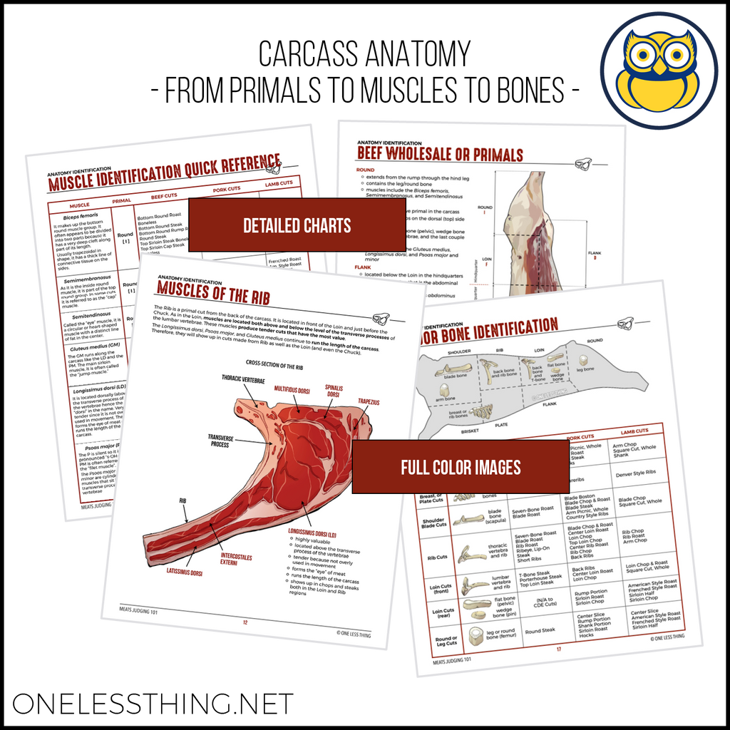 Meats Judging 101 CDE Handbook, SPIRAL-BOUND BOOK