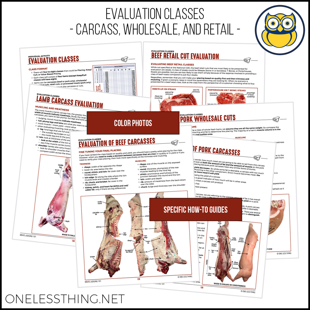 Meats Judging 101 CDE Handbook, SPIRAL-BOUND BOOK