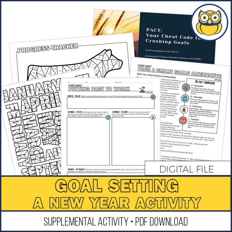 Load image into Gallery viewer, Goal Setting, SUPPLEMENTAL New Year Exercise
