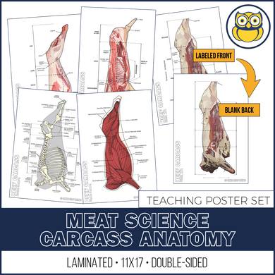 Meats Judging Carcass Anatomy, 5 Poster Set