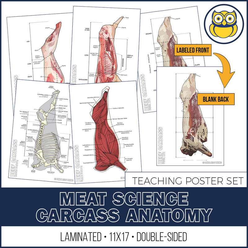 Load image into Gallery viewer, Meats Judging Carcass Anatomy, 5 Poster Set
