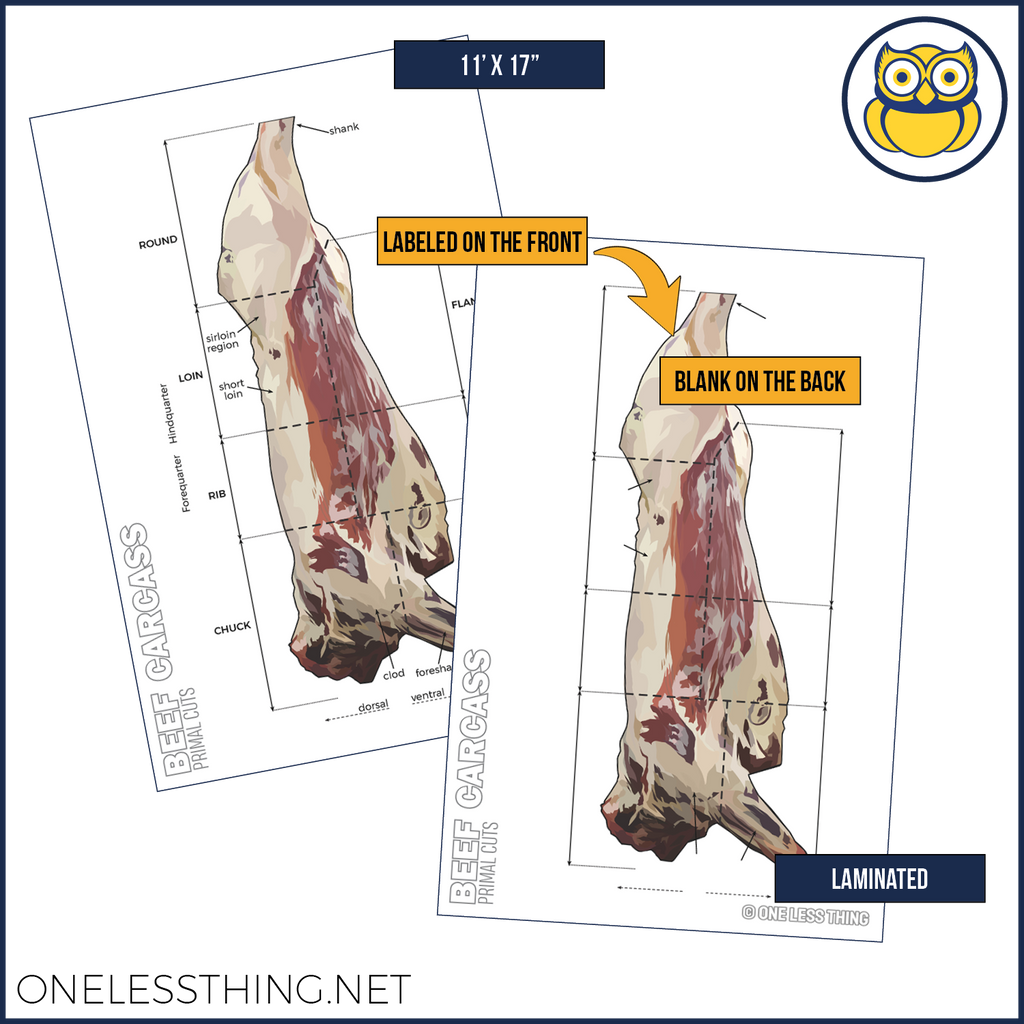 Meats Judging Carcass Anatomy, 5 Poster Set