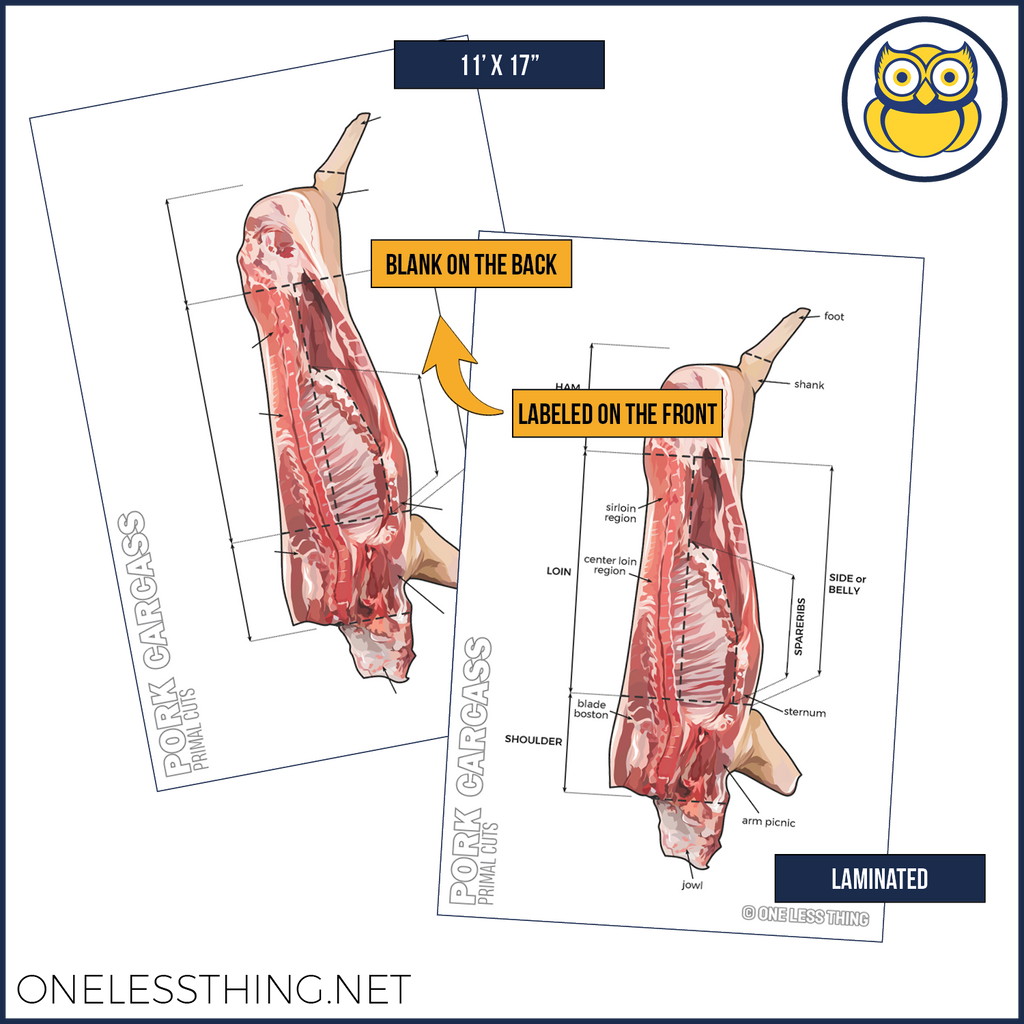 Meats Judging Carcass Anatomy, 5 Poster Set