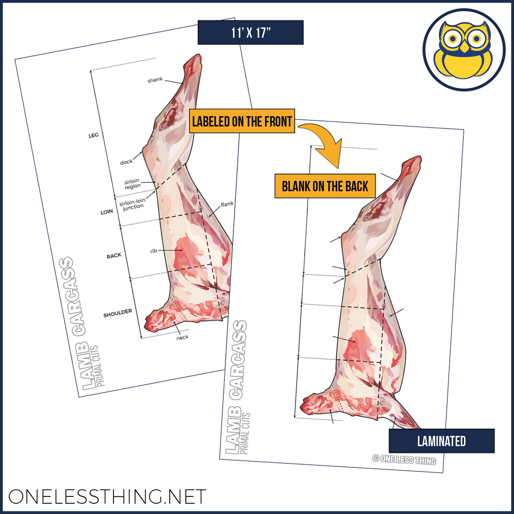 Meats Judging Carcass Anatomy, 5 Poster Set