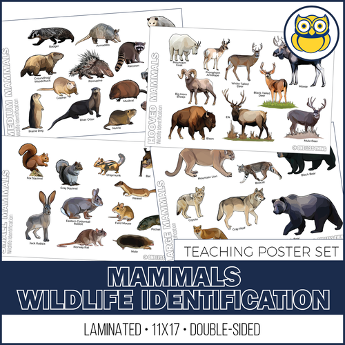 Wildlife ID Mammals Posters, Set of 4