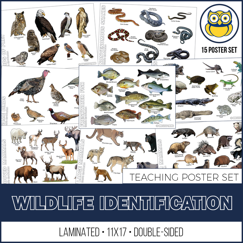 Load image into Gallery viewer, Wildlife Identification Posters, Set of 15
