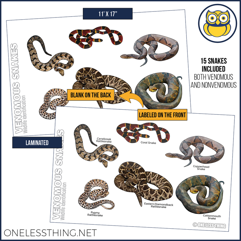 Load image into Gallery viewer, Wildlife ID Snakes and Reptiles Posters, Set of 3
