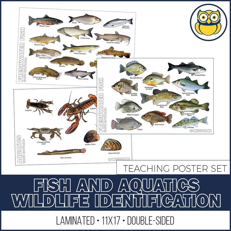 Load image into Gallery viewer, Wildlife ID Fish and Aquatics Posters, Set of 3
