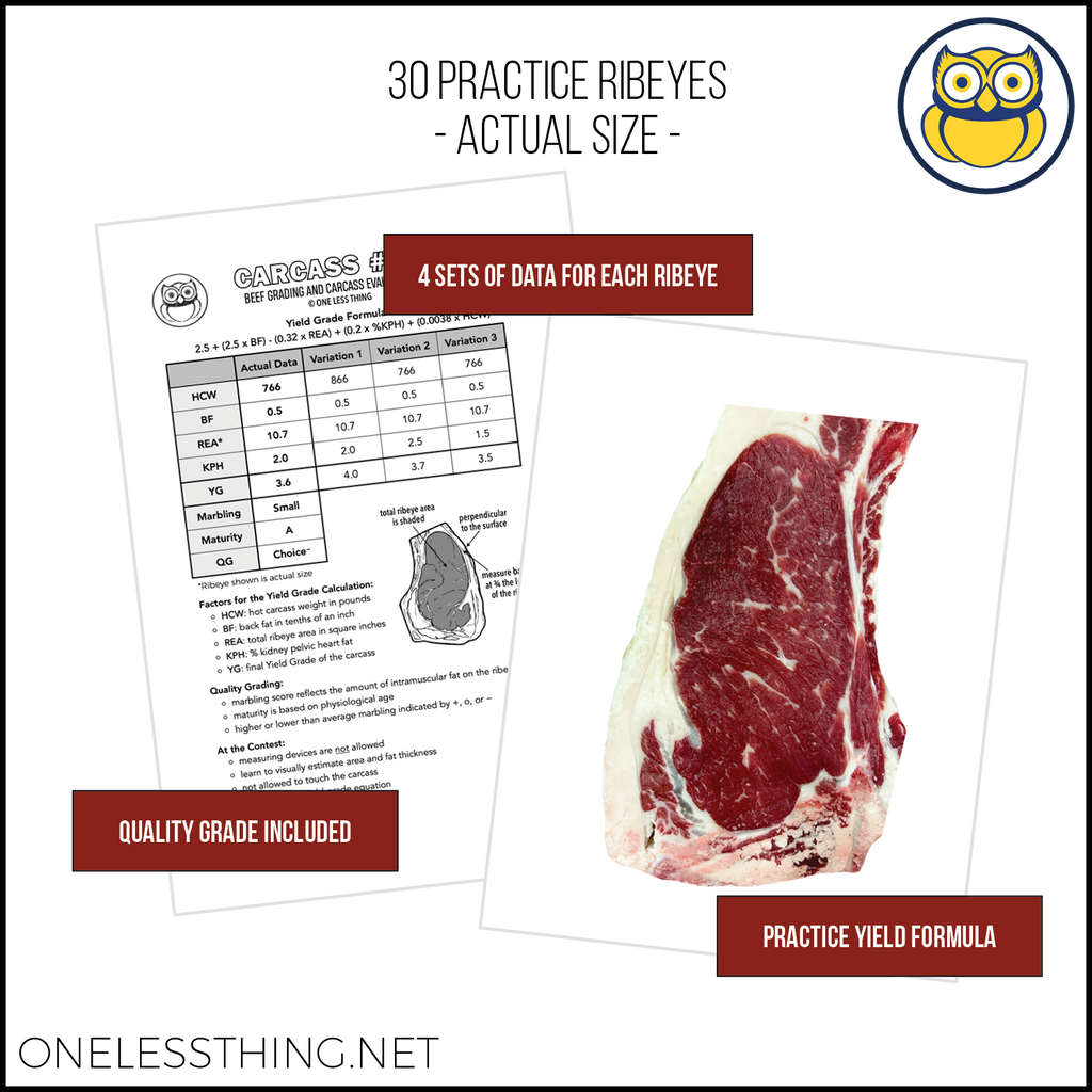 Beef Yield Grading, Skill Builder SET 2