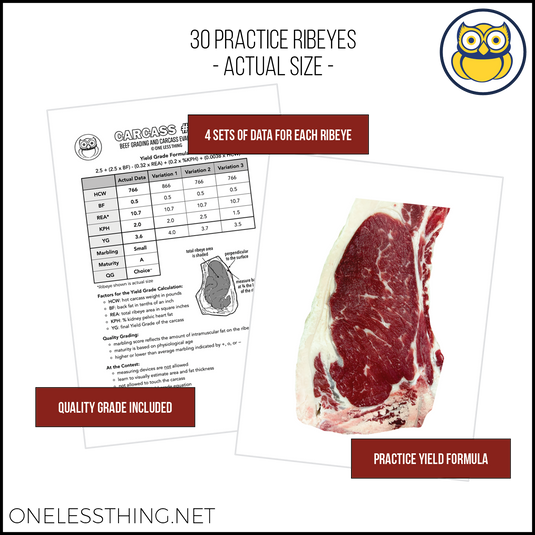 Beef Yield Grading, Skill Builder SET 2