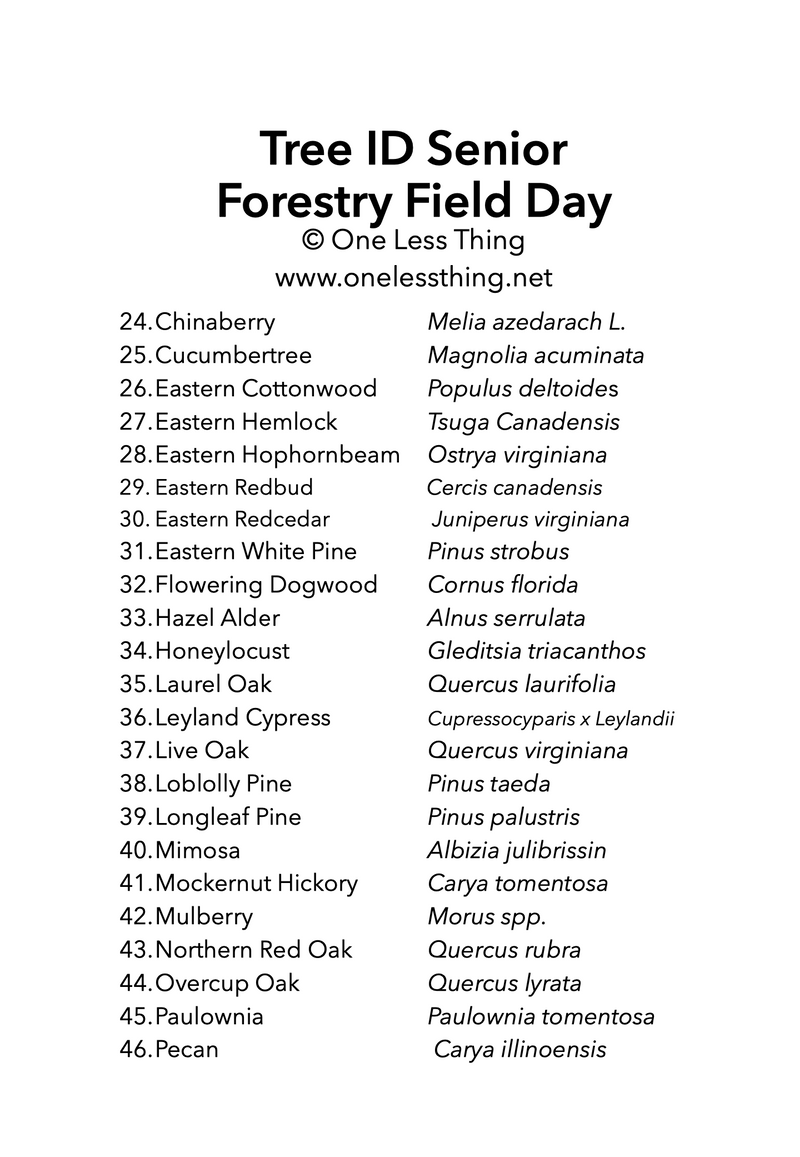 Load image into Gallery viewer, Forestry Field Day Senior Tree ID, IDPix Cards
