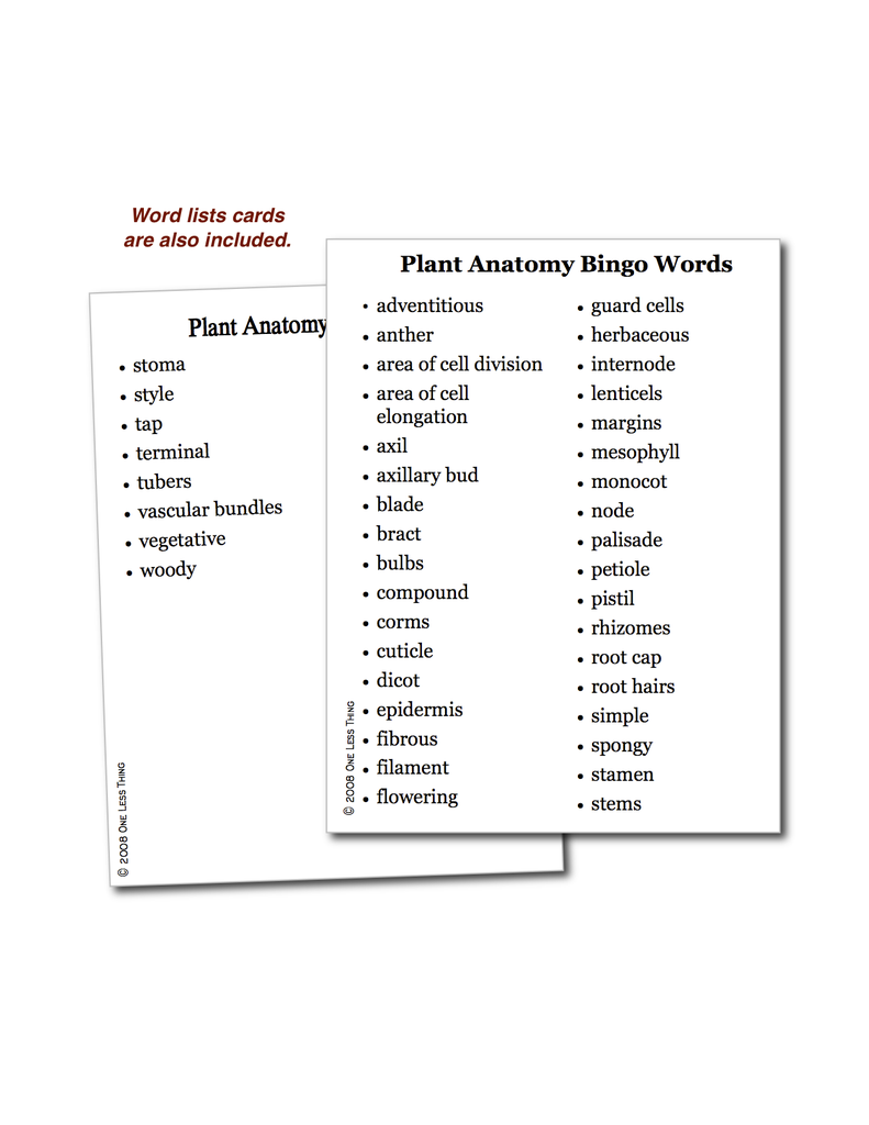 Load image into Gallery viewer, Plant Anatomy, Unit Set Download Only
