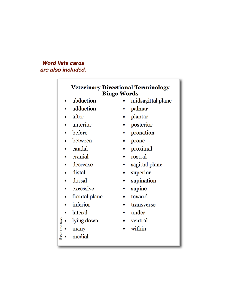 Load image into Gallery viewer, Vet Directional Terminology, Unit Set Download Only
