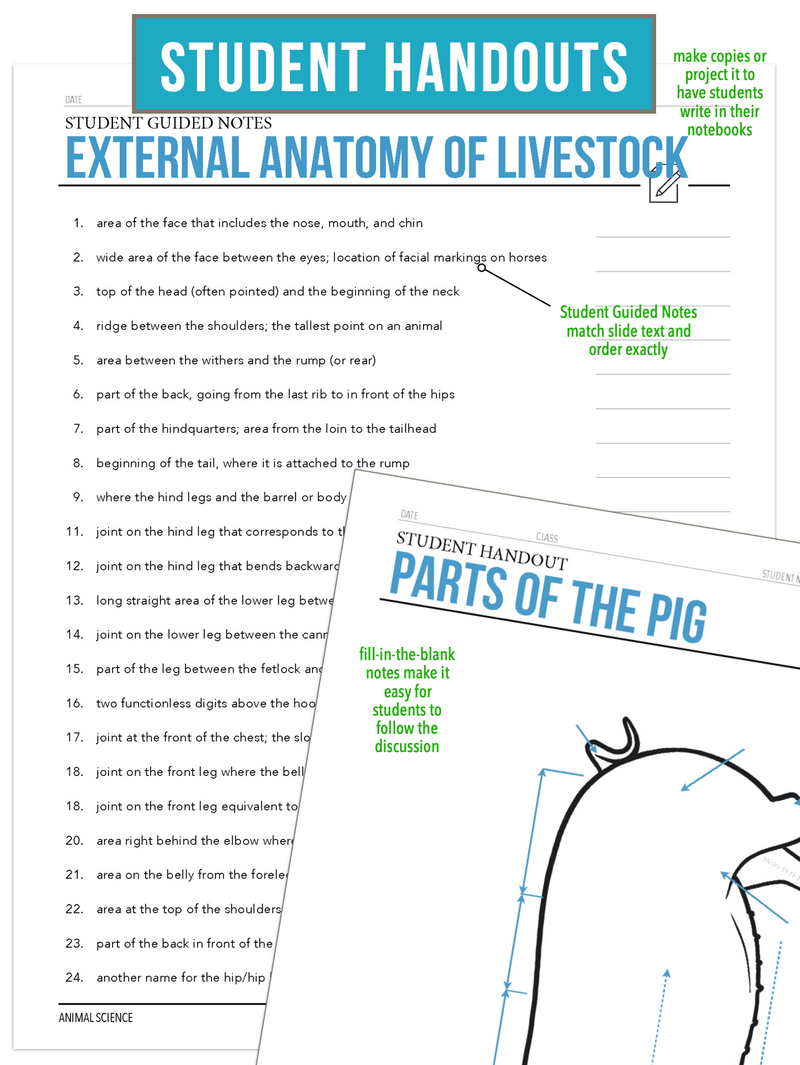 Load image into Gallery viewer, CCANS03.2 External Anatomy of Livestock, Animal Science Complete Curriculum
