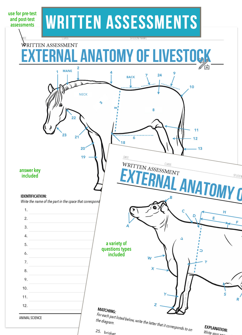 Load image into Gallery viewer, CCANS03.2 External Anatomy of Livestock, Animal Science Complete Curriculum
