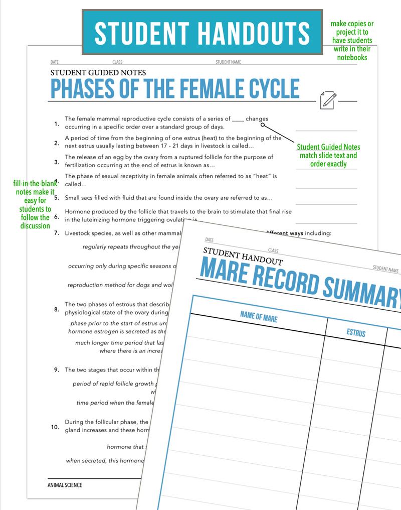 Load image into Gallery viewer, CCANS11.2 Phases of the Female Cycle, Animal Science Complete Curriculum
