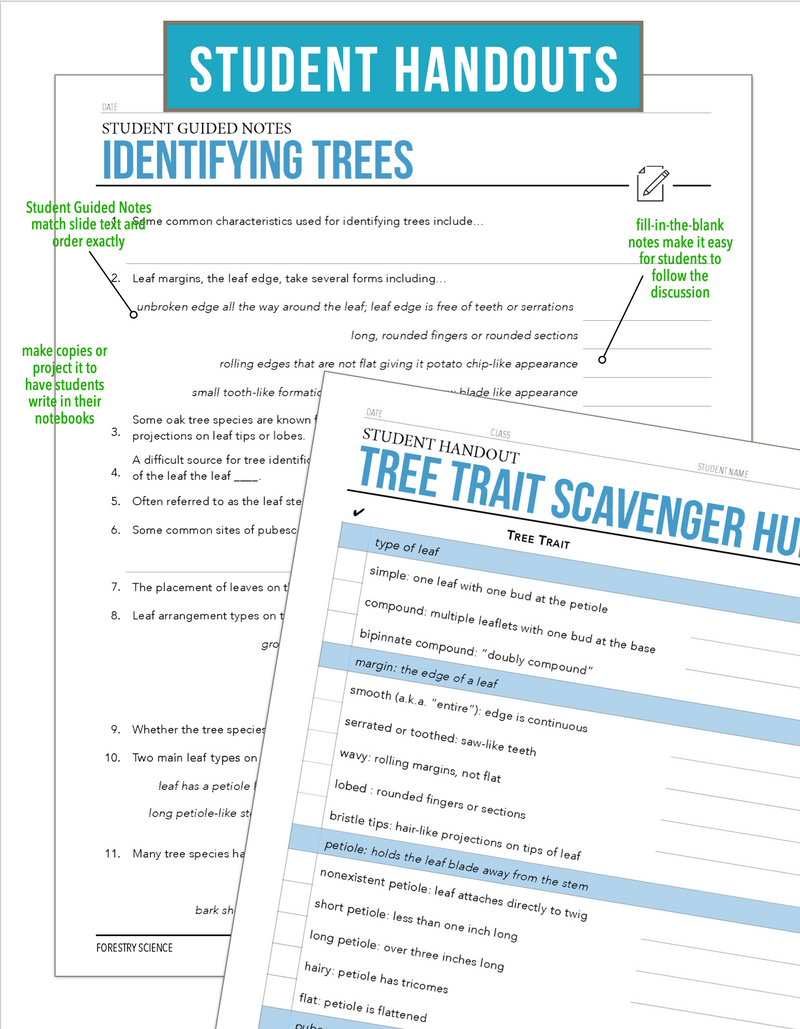 Load image into Gallery viewer, CCFOR03.2 Identifying Trees, Forestry Complete Curriculum
