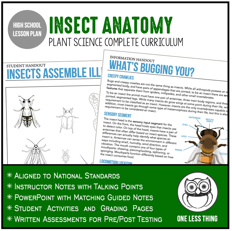 Load image into Gallery viewer, CCPLT10.1 Insect Anatomy, Plant Science Complete Curriculum
