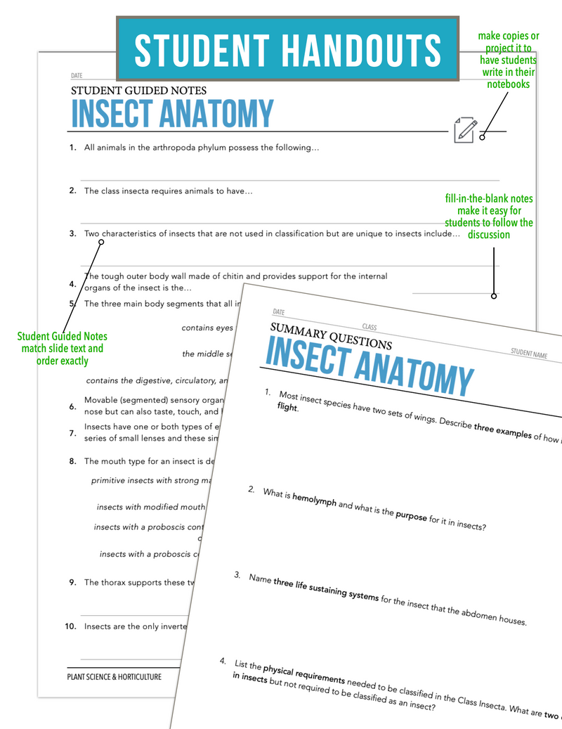 Load image into Gallery viewer, CCPLT10.1 Insect Anatomy, Plant Science Complete Curriculum
