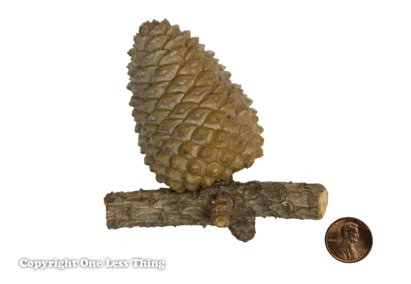 Load image into Gallery viewer, Pine Cone ID, IDPix Cards
