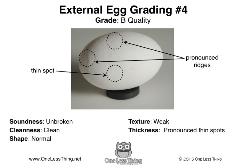 Load image into Gallery viewer, External Egg Grading, Poultry CDE Cards
