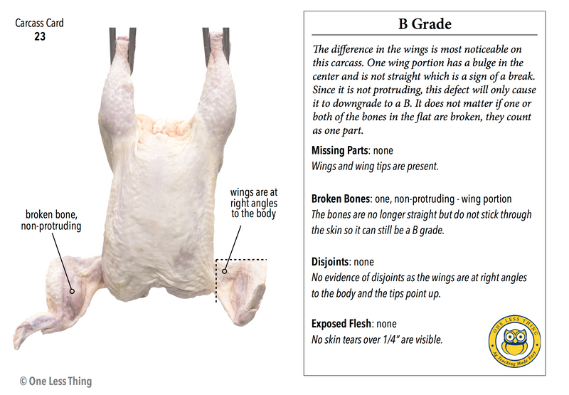 Load image into Gallery viewer, Poultry Carcass Grading (Newly Revised), IDPix Cards
