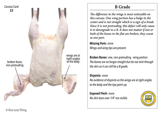 Poultry Carcass Grading (Newly Revised), IDPix Cards