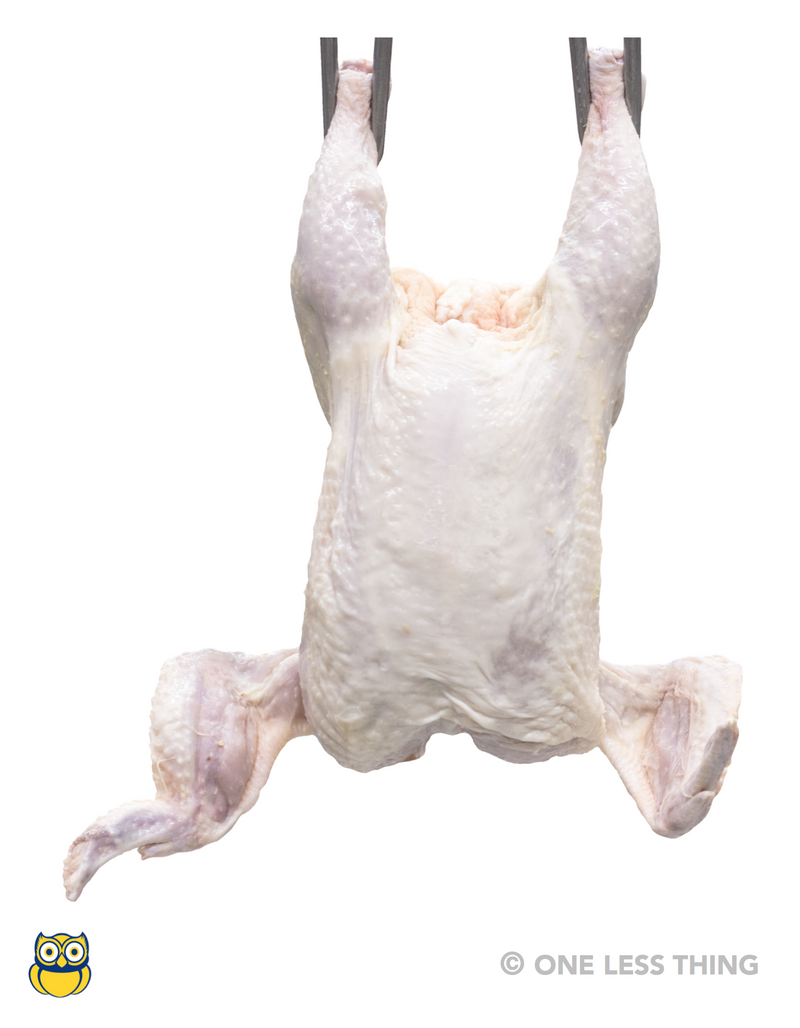 Load image into Gallery viewer, Poultry Carcass Grading (Newly Revised), IDPix Cards
