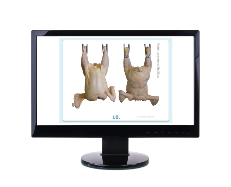 Load image into Gallery viewer, Poultry Judging Carcass Grading Practice, PowerPoint Downloads
