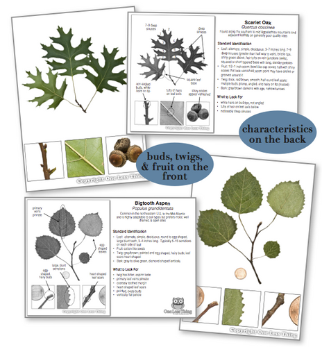 Georgia Tree ID National Supplement, IDPix Cards (14 Tree Add-on)